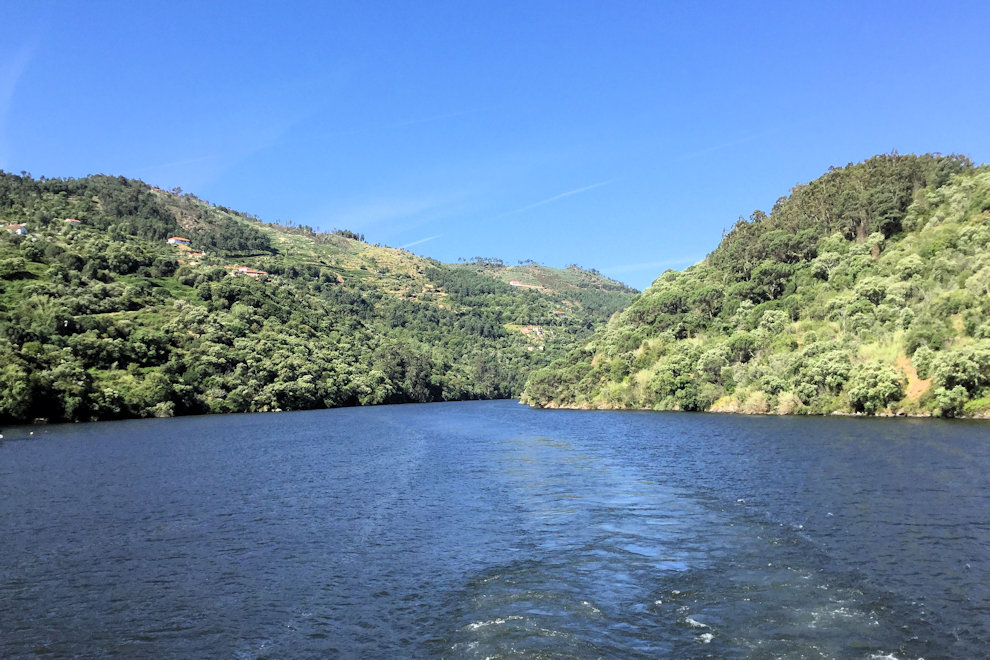 Douro River photograph